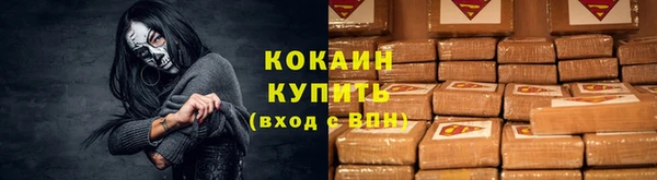 прущий лед Каменка