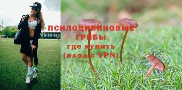 винт Каменногорск
