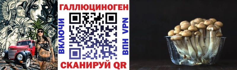 Купить где  Дудинка  Галлюциногенные грибы Cubensis 